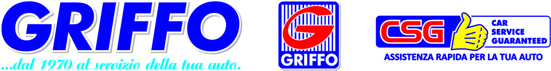 Griffo Ricambi - CSG Service